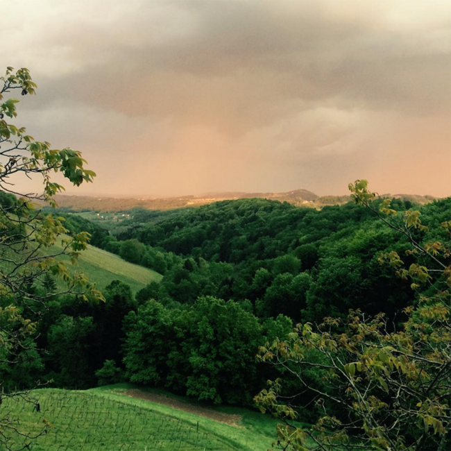 Mein Satz (WR/WB/SR/SB) 2024 0.75 l