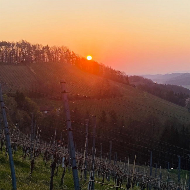 Mein Satz (WR/WB/SR/SB) 2024 0.75 l