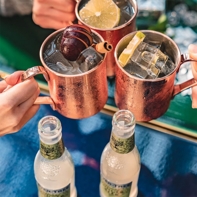 Premium Ginger Beer 4er 0.2 l