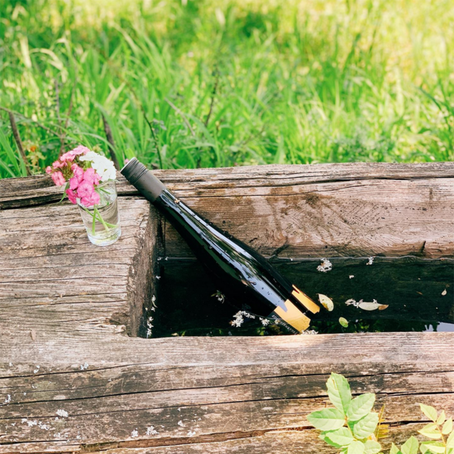 Grüner Veltliner Federspiel Superin Wachau DAC 2024 0.75 l