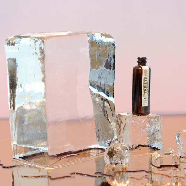 Le Tribute Tonic Water 4er 0,2 l