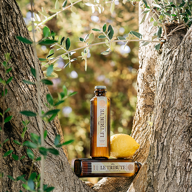 Olive Lemonade Limonade 24er 0.2 l