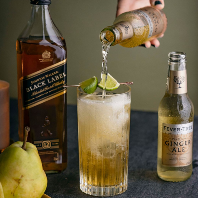 Ginger Ale 24er 0.2 l