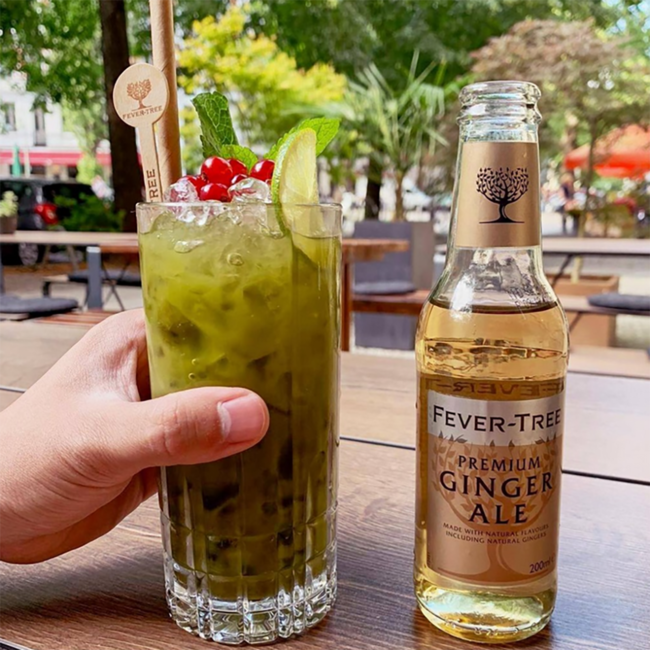 Ginger Ale 24er 0.2 l