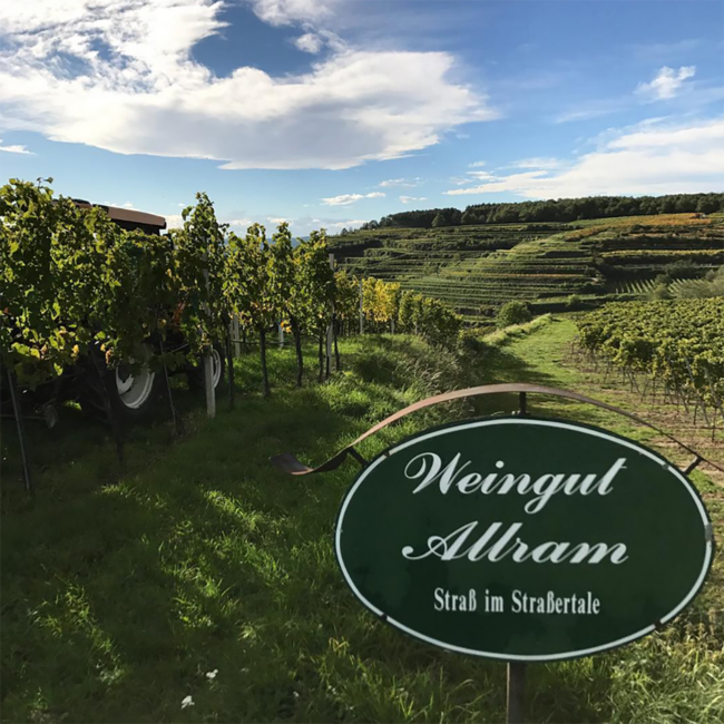 Riesling Strass Kamptal DAC 2023 0.75 l