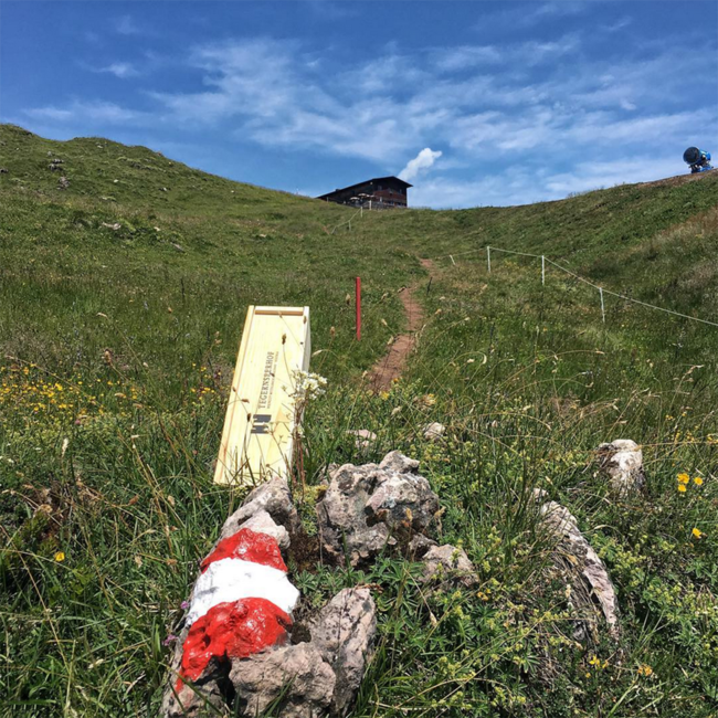 Grüner Veltliner Smaragd Bergdistel Wachau DAC 2023 0.75 l