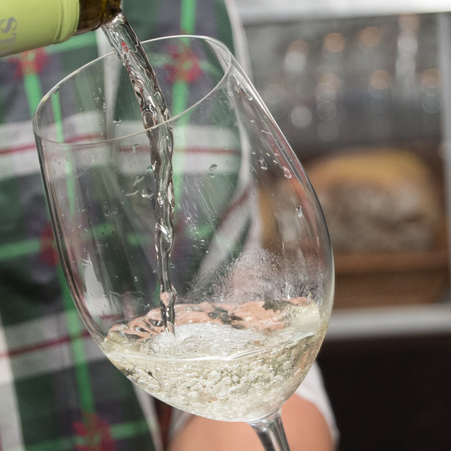 Sauvignon Blanc Südsteiermark DAC BIO 2024 0.75 l