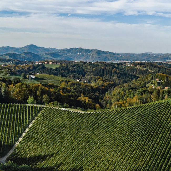 Welschriesling  "Kleine Gärten" Südsteiermark DAC BIO 2025 0.75 l