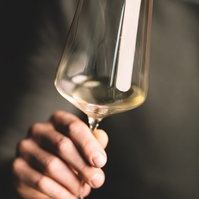 Gamlitz Sauvignon Blanc Südsteiermark DAC BIO 2024 0.75 l