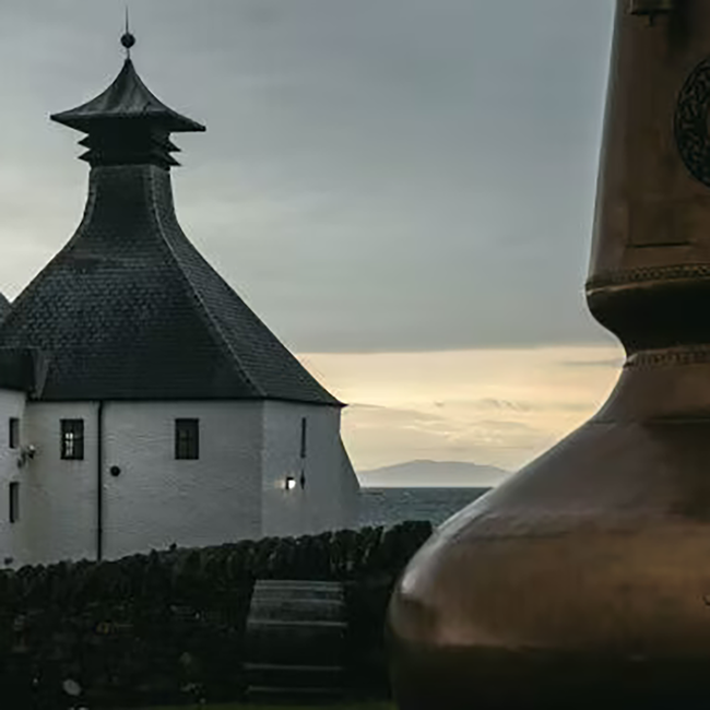 Ardbeg 8 Years Old Islay Single Malt Scotch Whisky 0.7 l 50.80% vol