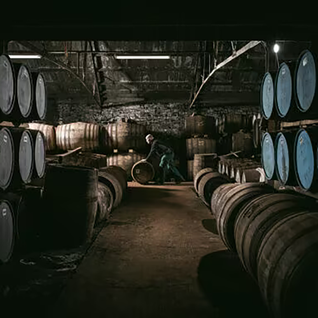 Ardbeg 8 Years Old Islay Single Malt Scotch Whisky 0.7 l 50.80% vol