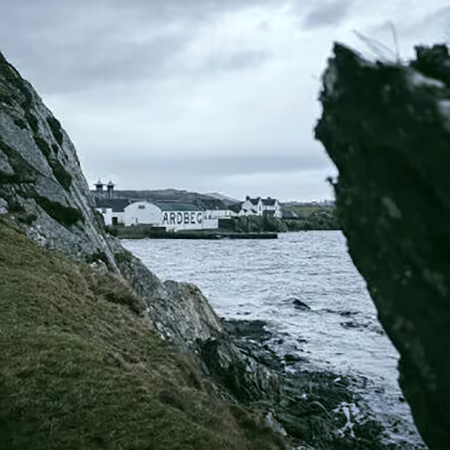 Ardbeg 8 Years Old Islay Single Malt Scotch Whisky 0.7 l 50.80% vol