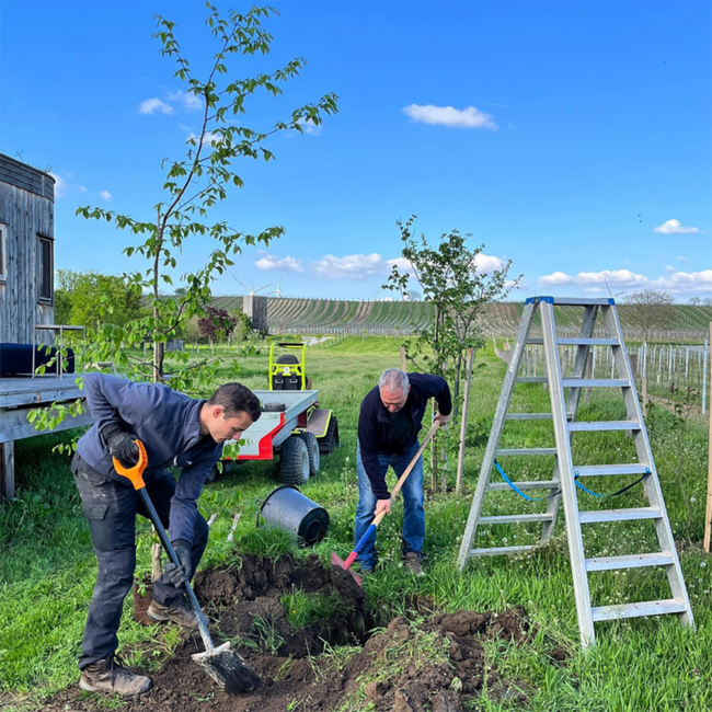 Gabarinza (ZW/BF/ME) BIO 2019 0.75 l