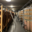 Pannobile (ZW/BF) BIO 2021 0.75 l