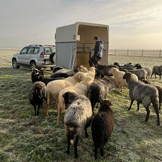 Sankt Laurent BIO 2020 0.75 l