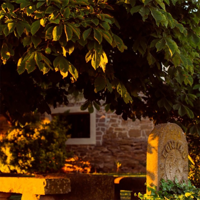 Cune Crianza Rioja DOCA 2021 0.75l