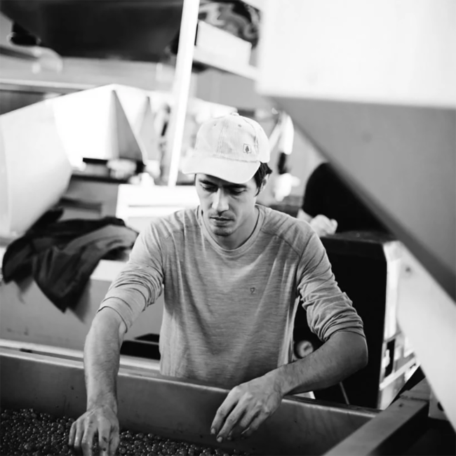 Kalk & Kreide Sauvignon Blanc Südsteiermark DAC 2024 0.75 l