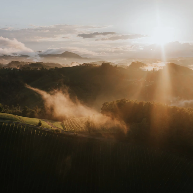 Kalk & Kreide Sauvignon Blanc Südsteiermark DAC 2024 0.75 l