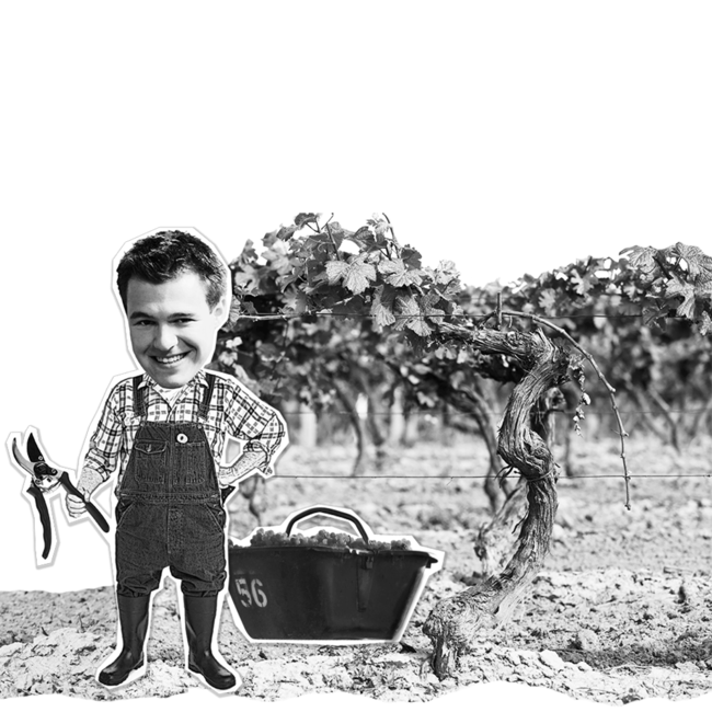 Chardonnay Carnuntum DAC 2024 0.75 l