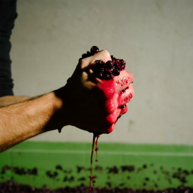 Cuvée Liubisa (SG/PN) 0.75 l