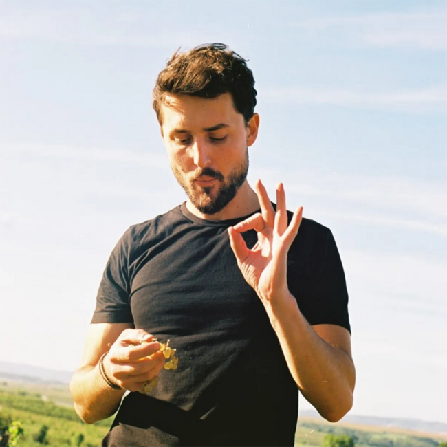 Grüner Veltliner Löss 2024 0.75 l