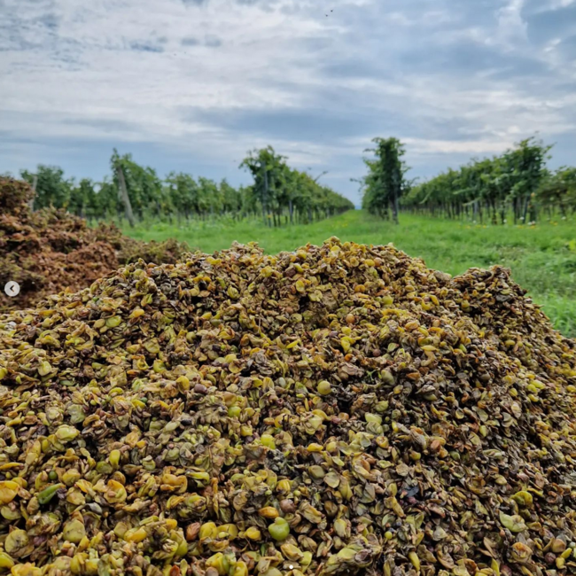 Grüner Veltliner Löss 2024 0.75 l