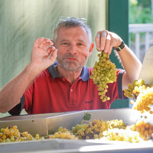 Grüner Veltliner Ried Kittmannsberg 1 ÖTW Kamptal DAC 2022 0.75 l