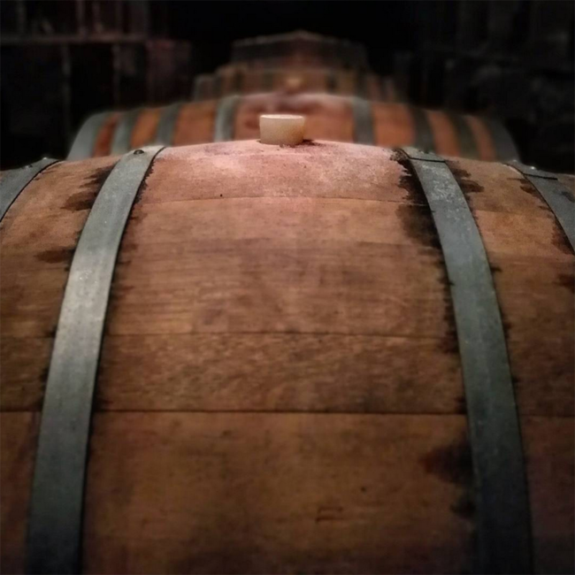 Grüner Veltliner Ried Thal Kamptal DAC 2023 0.75 l