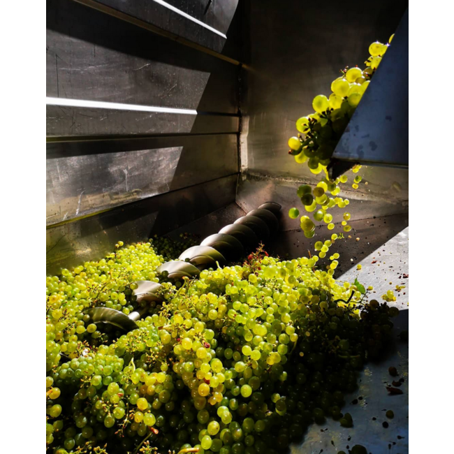 Riesling Maximum Reserve Kamptal DAC 2021  0.75 l