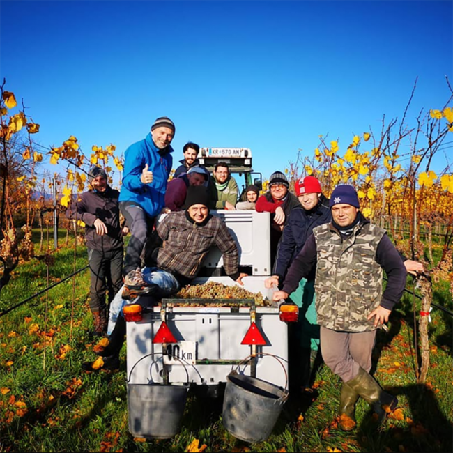 Weißburgunder Maximum 2023 0.75 l