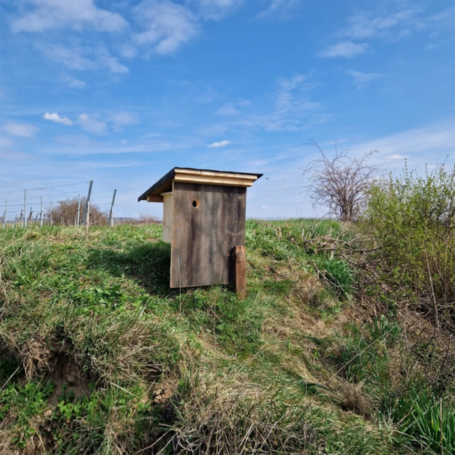 Weißburgunder Maximum 2022 0.75 l