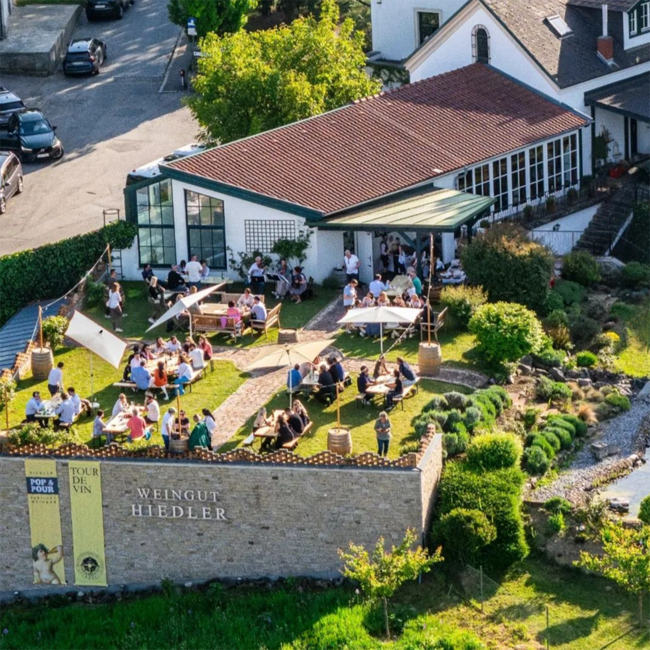 Weißburgunder Langenloiser Kalksand 2023 0.75 l