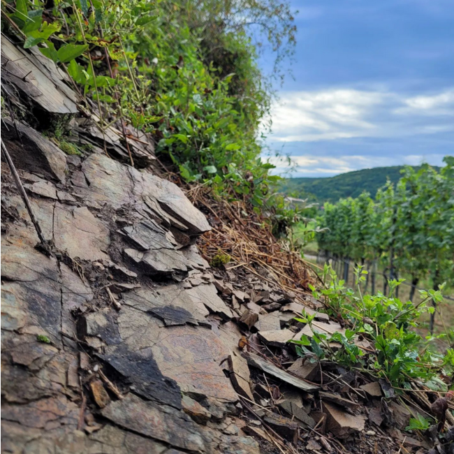 Weißburgunder Langenloiser Kalksand 2023 0.75 l