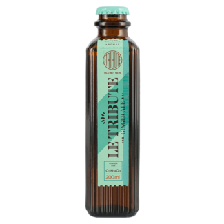 Le Tribute / Spanien, Vilanova Ginger Ale 24er 0.2 l