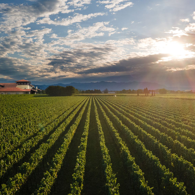 Vie Di Romans Chardonnay 2022 0.75 l