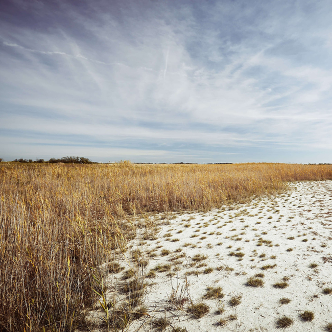 Chardonnay Salzlacke 2023 0.75 l