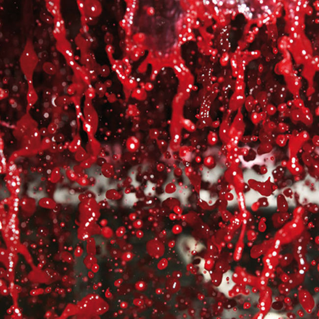 Quattro (CS/ME/ZW/BF) 2022 Magnum 1.5 l