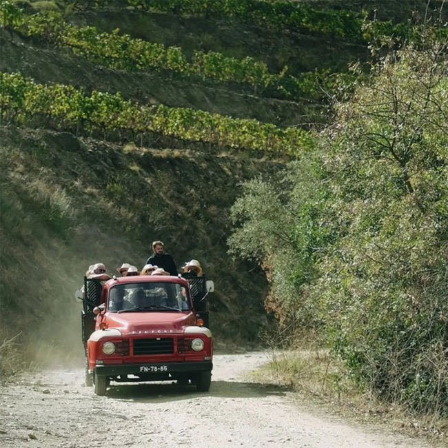 Dalva Colheita 1999 Portwein 0.75 l