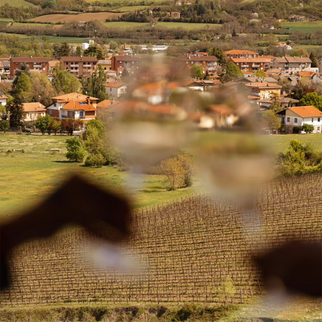 “Beneficio” (CH/SB/CO) Piemonte DOC 2023 0.75 l