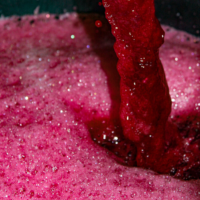 Costa Dolcetto di Ovada DOC 2023 0.75 l