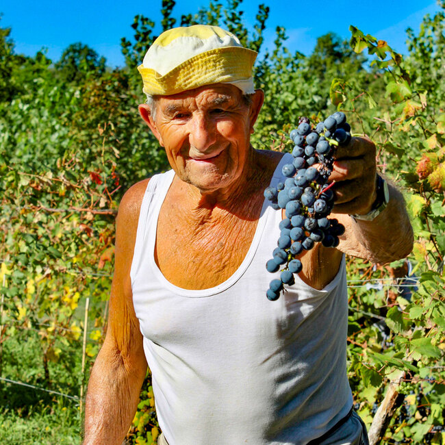 Costa Dolcetto di Ovada DOC 2023 0.75 l