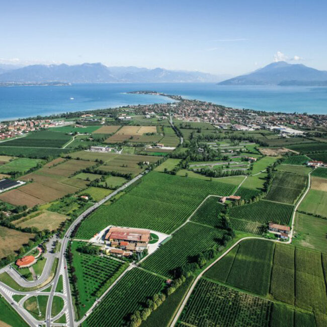 Prestige Lugana DOP 2025 0.75 l *Verfügbar ab Mitte März 2026