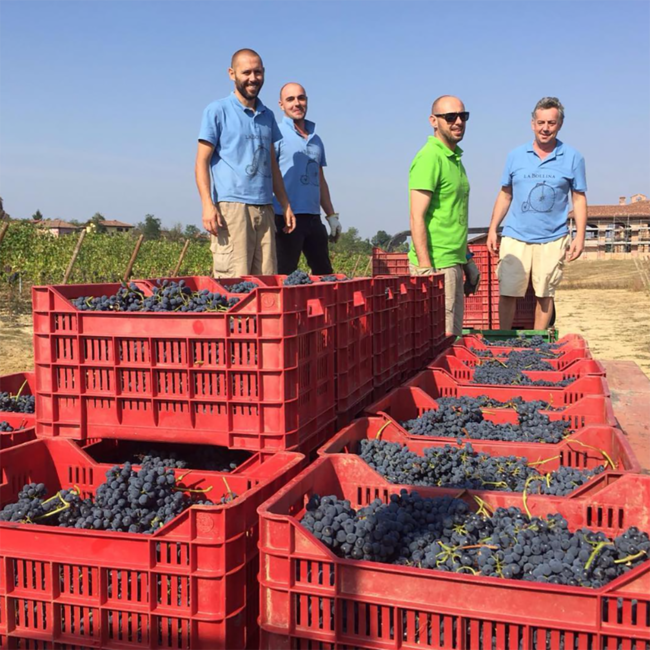 Actarus Primitivo di Manduria DOP 2023 0.75 l