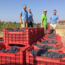 Actarus Primitivo di Manduria DOP 2023 0.75 l