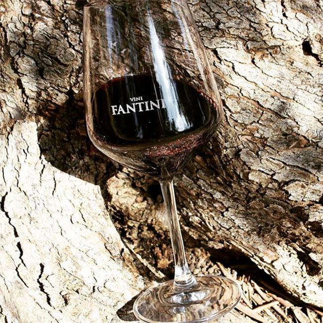 Montepulciano d'Abruzzo DOC Casale Vecchio 2021 0.75 l