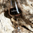 Montepulciano d'Abruzzo DOC Casale Vecchio 2022 0.75 l