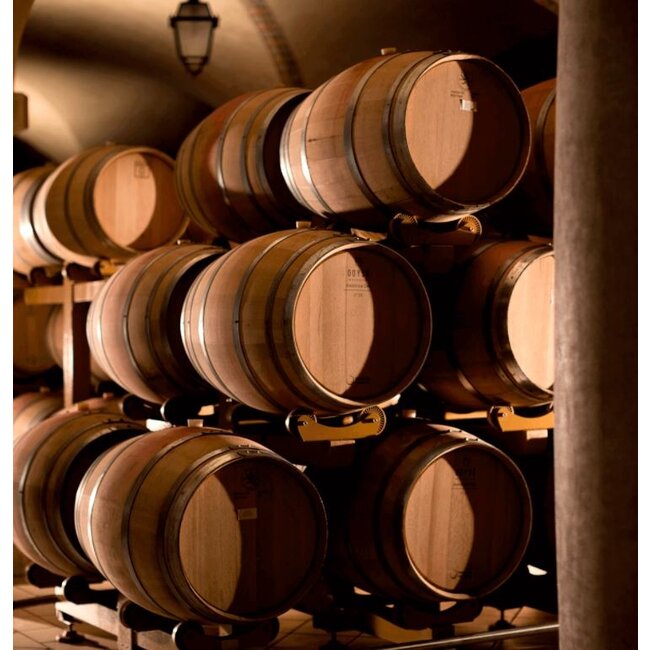 Pietro dal Cero Amarone della Valpolicella DOCG 2017 0.75 l