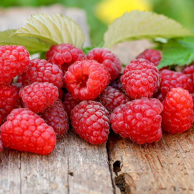 Prinz Alte Wald-Himbeere Brand 0.5 l 41% vol