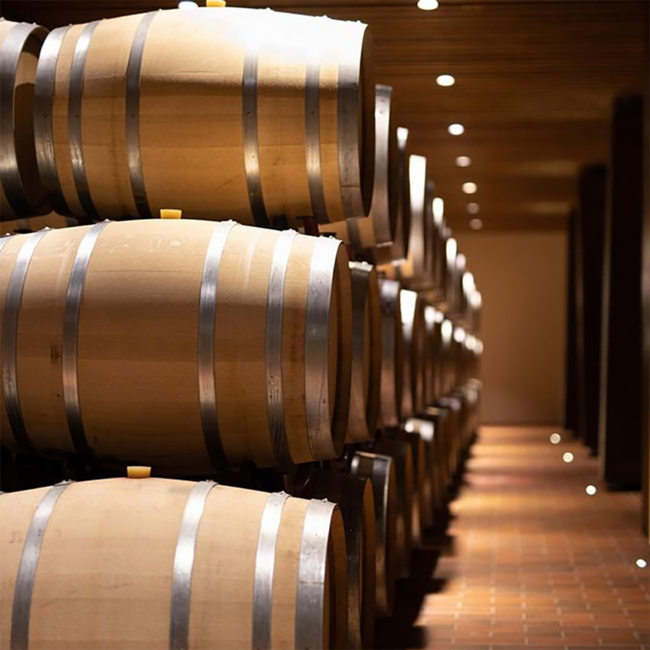 Zolla Primitivo di Manduria DOP 2025 0.75 l