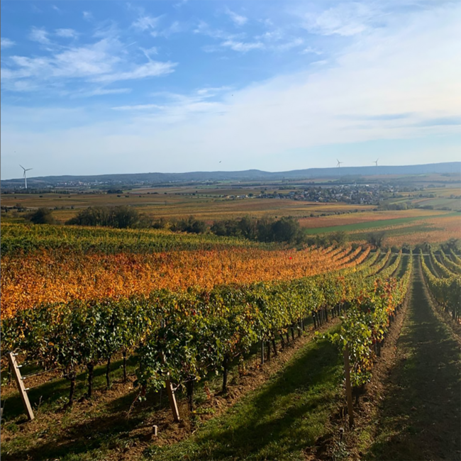 Chardonnay Ried Kräften Carnuntum DAC 2022 0.75 l